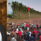 MST invade fazendas de empresário que apoiou “Carta Pela Democracia” na Bahia: Entenda o caso