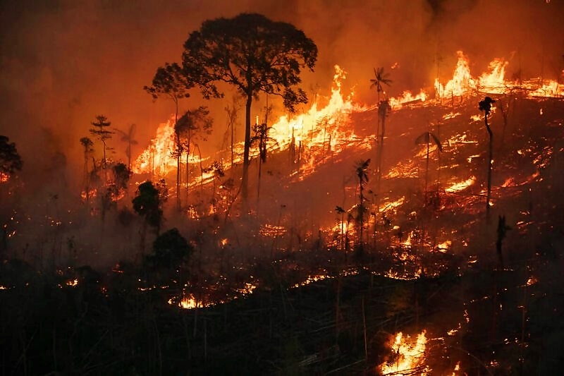 Sob governo Lula, Amazônia tem semestre com mais incêndios desde 2001